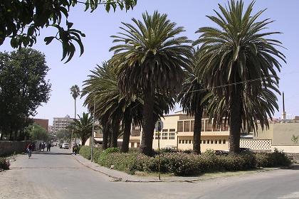 Asmara covered swimming pool