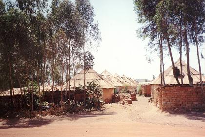 Traditional houses (Agdos) - Haz Haz Asmara.