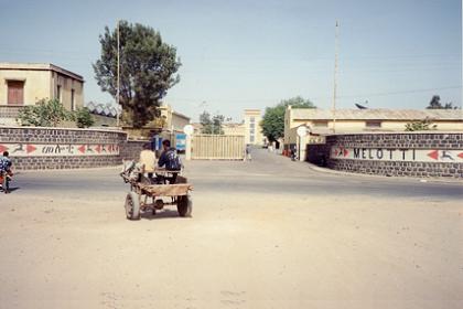 Asmara Brewery, which makes the popular and good-quality Melloti beer as well as excellent Zebib (Araqi), gin and cognac