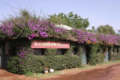 Sembel Huts near Sembel Residentional Complex Asmara