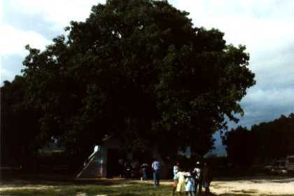 Eritrea - Keren. Mariam Da arit (Mariam Fatima). 