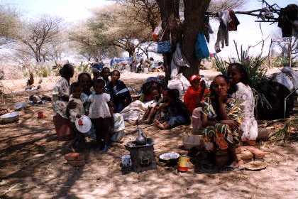 Eritrea - Adi Keshi (near Barentu) Refugees that just arrived from Shilalo (Badme).