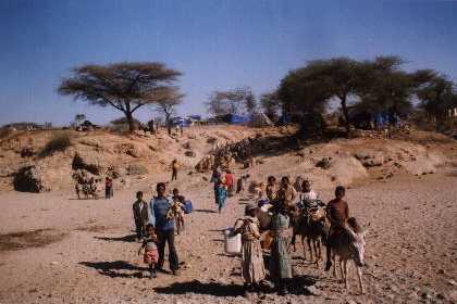 Eritrea - Adi Keshi: Refugees on their way to the refugee camp Adi Keshi.