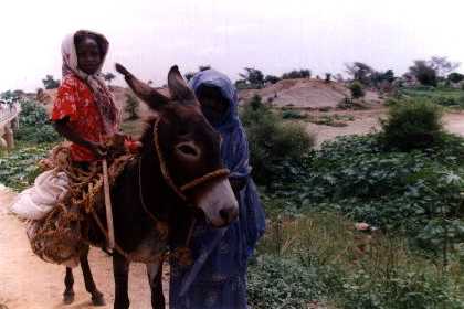 Barentu - Eritrea. Nara woman.