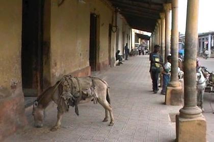 Little shops and workshops at the Asmara grain market.