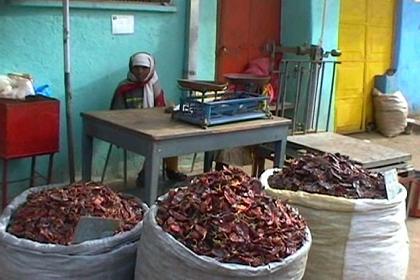 Unprocessed berbere at the Medeber market.