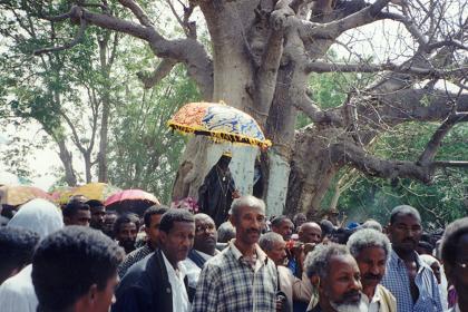 The Maria statue in the procession around the boabab tree.