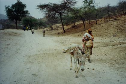 The donkey is used to carry the purchases home .