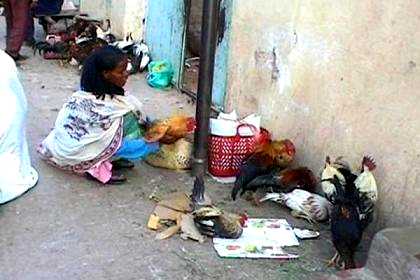 Woman selling chickens and eggs near the Asmara market.