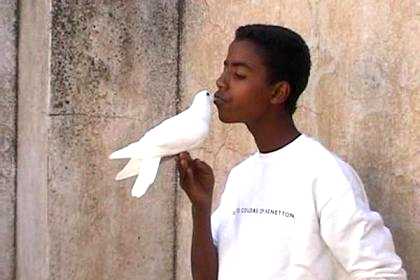 One of the boys with his pet, a white tamed pigeon, on top of the Asmara Palace.