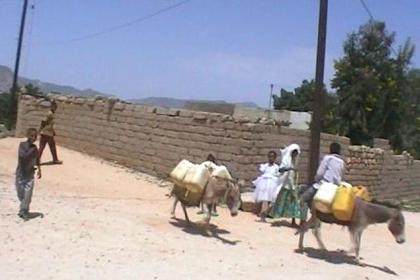 Donkeys as means of transport in the dusty streets of Keren.