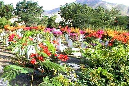 The Italian cemetery in Keren with its colorful flowers.