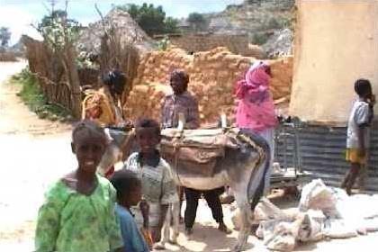 Street life in Barentu - women and children gathering at a small flour factory.