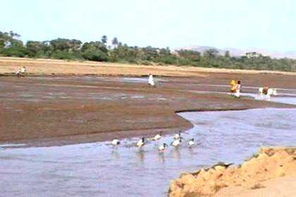 The Barka river passing the village of Agordat.