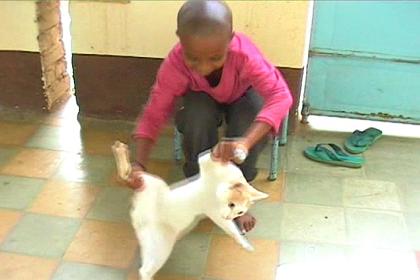 Johanna, daughter of next door neighbor teaching gymnastics to the cat.