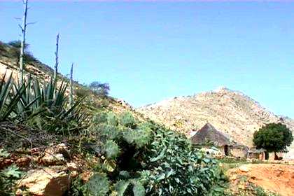 Tukul in the typical landscape around Keren.