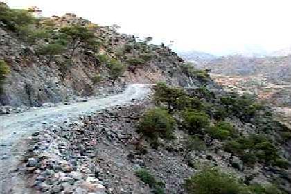 The narrow rough road snaking up hill to Nakfa.