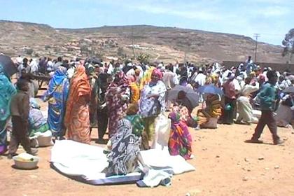 The Senafe cereal market.