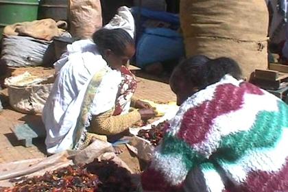Women preparing and selecting the peppers for further processing.