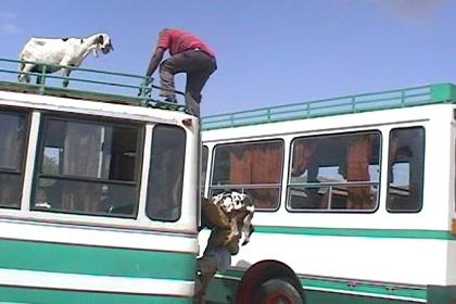 Arrival of the bus in Ghinda.