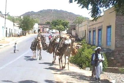 The road to Massawa passing Ghinda.