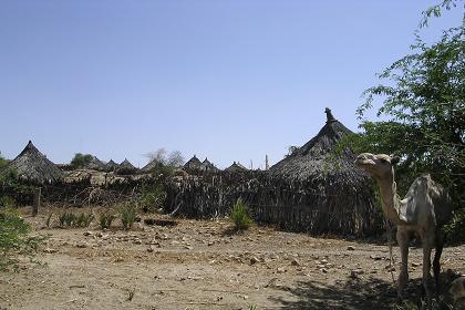 Traditional dwellings - Agordat Eritrea.