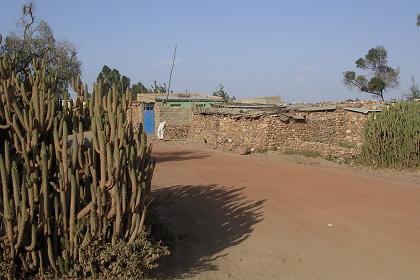 The "last" houses of Sembel village  - Asmara Eritrea.