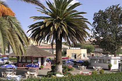 City Park - Asmara Eritrea.