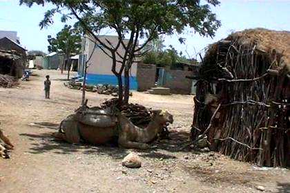 Stopover in Ghela'elo - Eritrea.