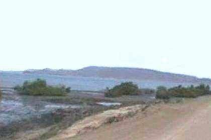 Mangroves near Thio - Eritrea.