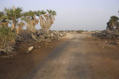 The black mountains surrounding Assab Eritrea.