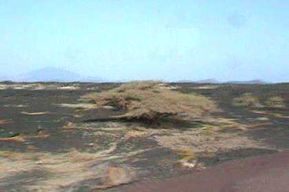 Lava lake and scattered vegetation - Denkalia dessert.