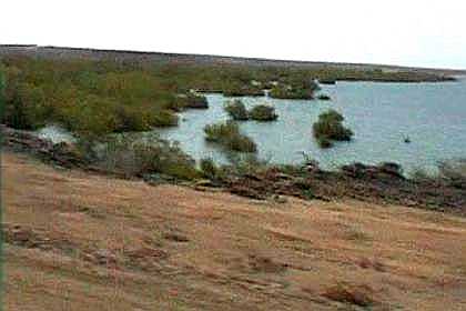 Mangrove forest near Tio.