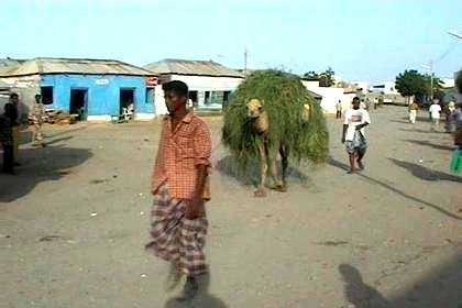 Stopover in Foro, 50 kilometers from Massawa.