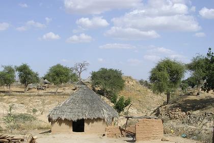 Traditional dwellings - Barentu Eritrea.