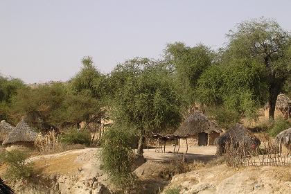 Traditional dwellings - Barentu Eritrea.