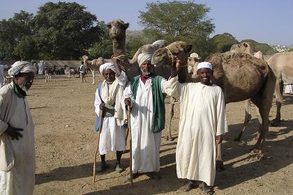 Keren Eritrea - livestock market.