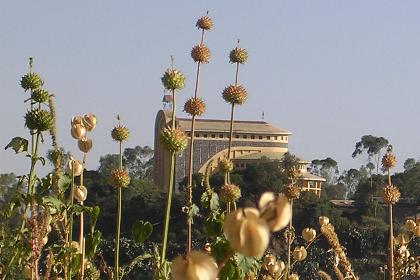 Georgis Coptic church pictured from one of the opposite hills.