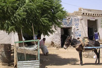 Stopover in Haykota (between Barentu en Tesseney).