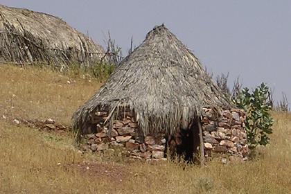 Traditional dwelling - Tesseney Eritrea.
