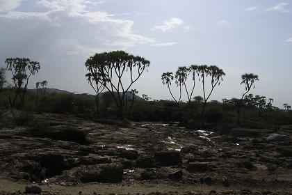 Sundown on the banks of the Gash River - Tesseney Eritrea.