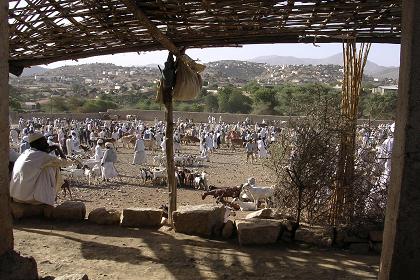 Livestock market pictured from the tea shop - Keren Eritrea.