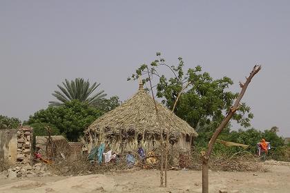 Small traditional dwelling on the banks of the Barka river - Agordat Eritrea.