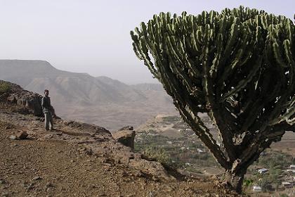 View over Adi Quala Eritrea.