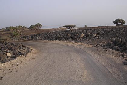 The road through the Dankalia dessert Eritrea.