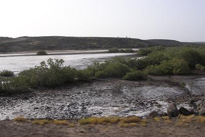 Mangroves and salt panes between Thio and Ghela'elo.