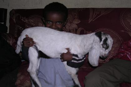 Josief petting the baby goat - Asmara Eritrea.