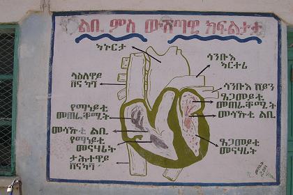 Decorations on the outside wall of the school - Dekemhare Eritrea.
