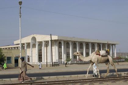 Carrying goods to the market, Edaga Berai - Massawa Eritrea.