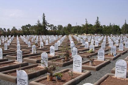 Victims of the recent war against Ethiopia - Asmara Eritrea.